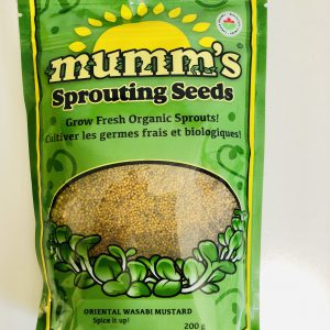 Commandez et cultivez graines de moutarde wasabi